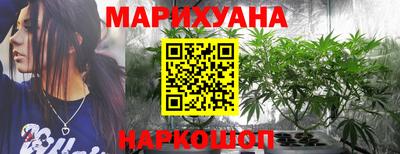 шишки Усть-Илимск